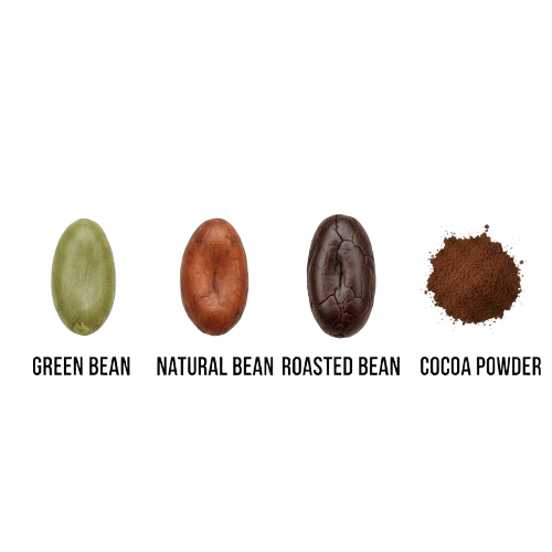 Fermented Cocoa Beans HS 180100 and Alkalized Cocoa Powder HS 180500