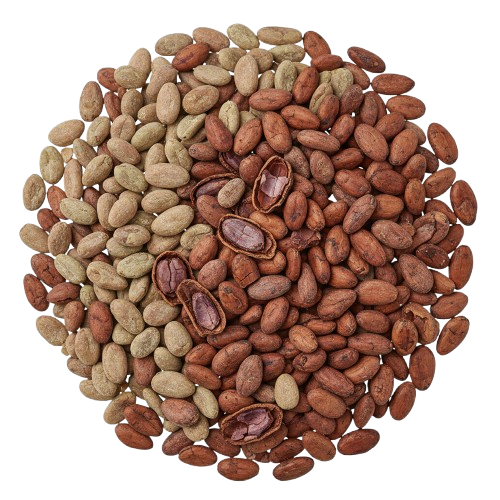 Indonesian Cocoa Beans and Powder HS 180100 for Singapore and Philippines