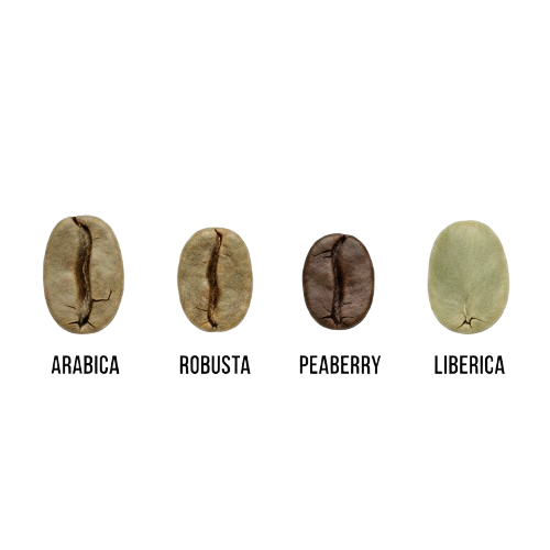 Roasted and Decaffeinated Coffee Beans HS 090111 for Vietnam Import