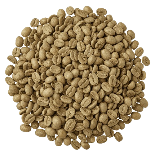 Premium Roasted Coffee Beans HS 090111 for Vietnam market